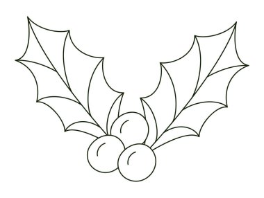 Noel ökseotu resmi beyazın üstünde