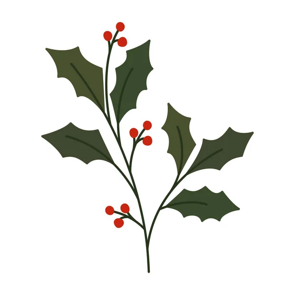 Kerstmis Maretak Plant Boven Wit — Stockvector