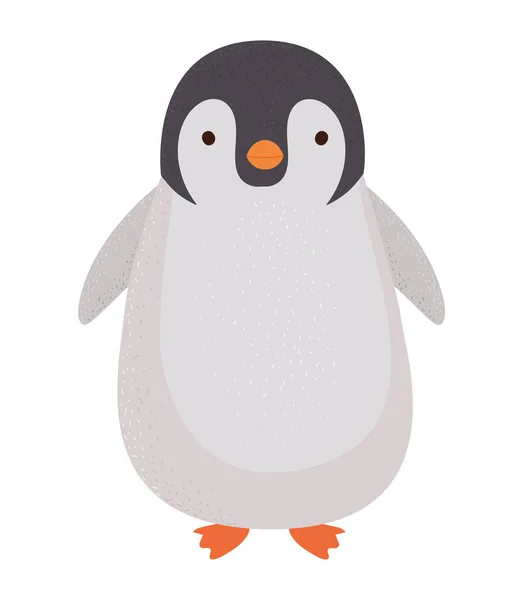Kolorowy Projekt Pingwina Nad Białym — Wektor stockowy