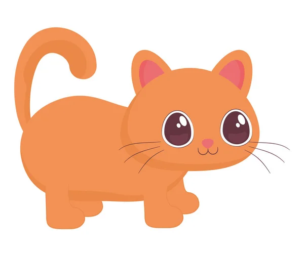 Cute Orange Cat White — Stock vektor