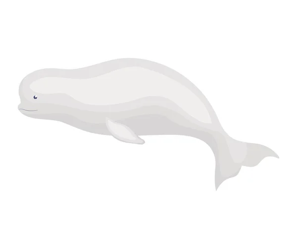 Icono Beluga Gris Sobre Blanco — Vector de stock