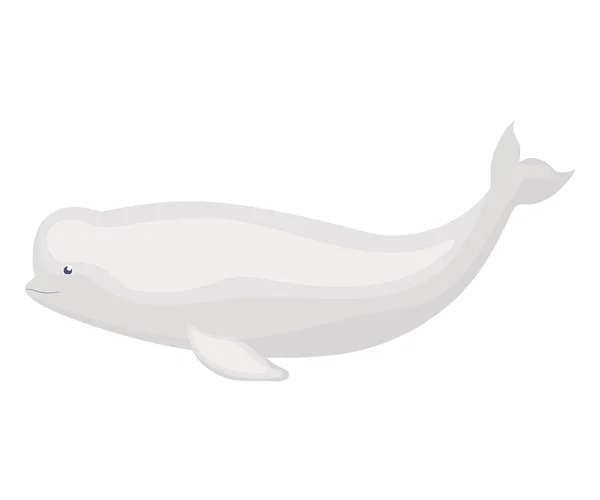 Bonito Beluga Ilustração Sobre Branco —  Vetores de Stock
