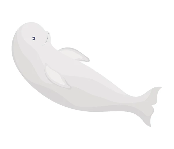 Disegno Beluga Colorato Bianco — Vettoriale Stock