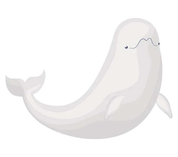 Illustrazione Beluga Grigio Bianco — Vettoriale Stock
