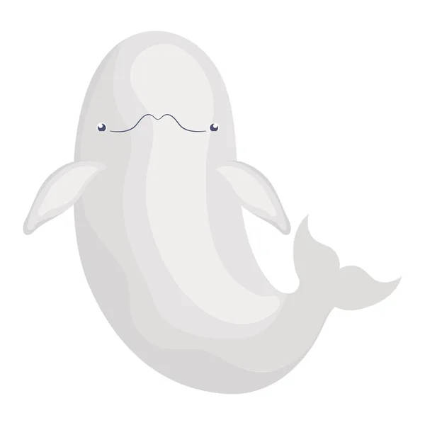 Gran Beluga Diseño Sobre Blanco — Vector de stock