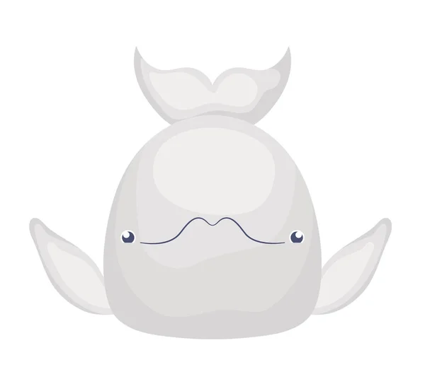 Χαριτωμένο Εικονίδιο Beluga Πάνω Από Λευκό — Διανυσματικό Αρχείο