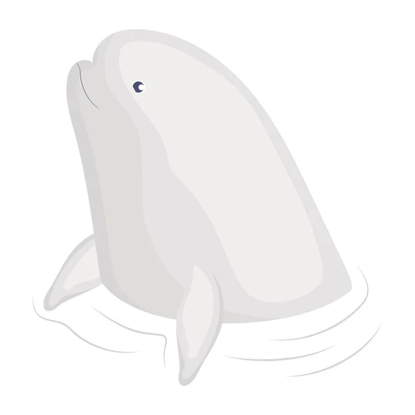 Colored Beluga Illustration White — Stock Vector