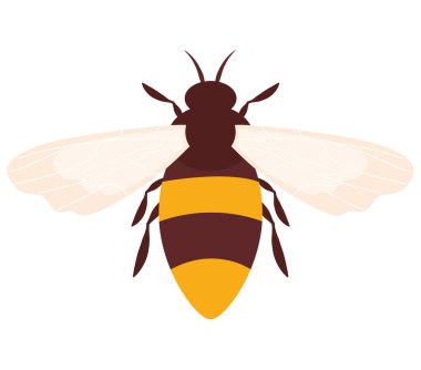 Beyaz yerine renkli arı tasarımı