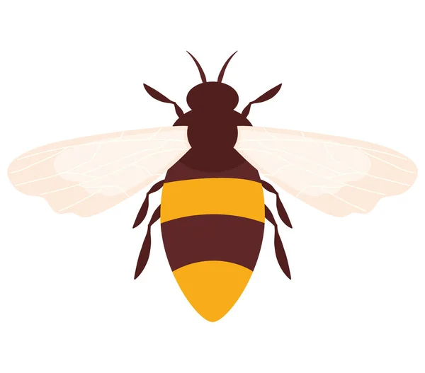 Цветная Пчела Дизайн Над Белым — стоковый вектор