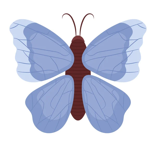 Farbiges Schmetterling Design Über Weiß — Stockvektor