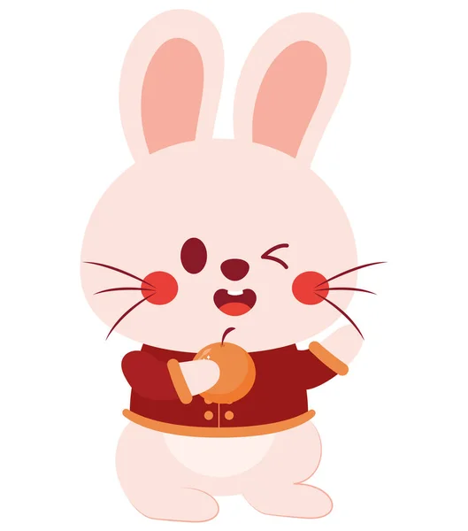 Cute Chinese Bunny White — Stock Vector