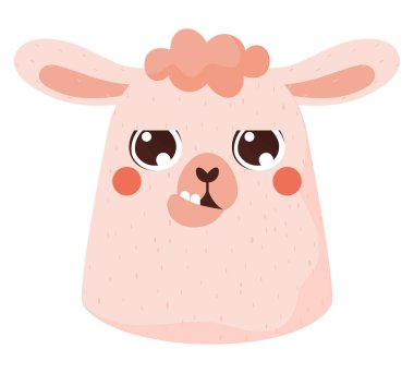 beautiful llama face over white