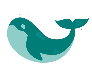 green whale design over white