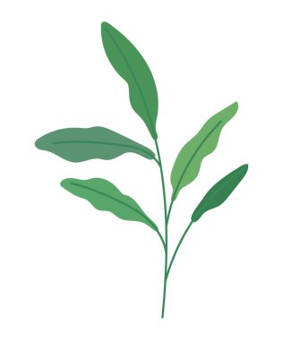 colored leaves illustration over white