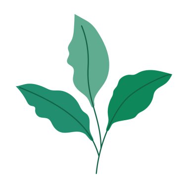 colored leaves design over white