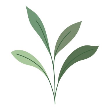 beaty leaves design over white