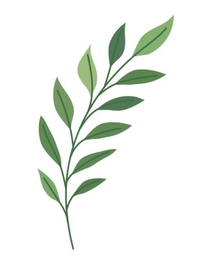 beautiful leaves design over white