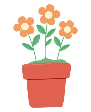 Beyaz yerine tatlı turuncu çiçekler.