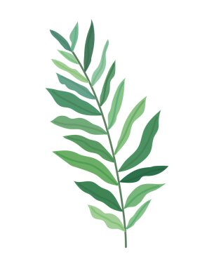 branch with leaves icon isolated