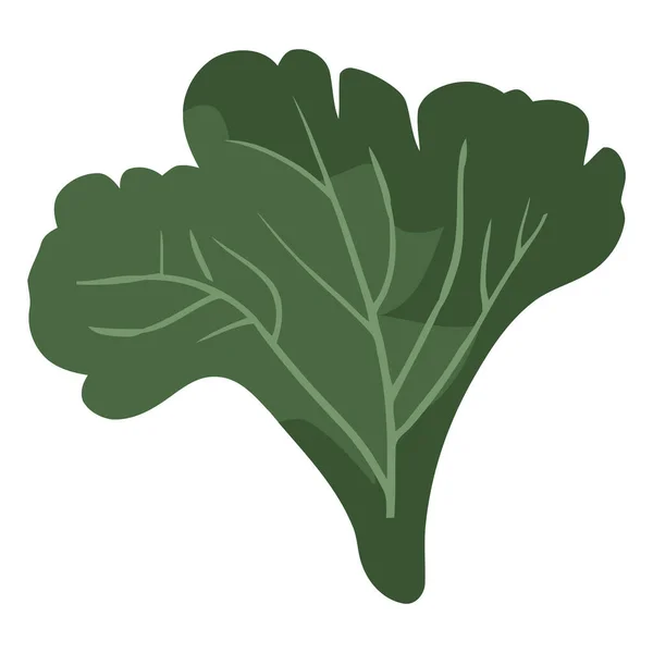 Ensalada Hierbas Verdes Frescas Alimento Vegetariano Saludable Sobre Blanco — Vector de stock