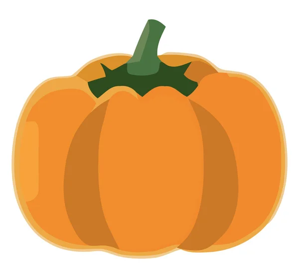 Autumn Harvest Pumpkin White — Stock Vector