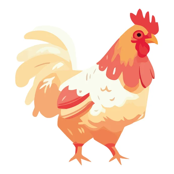 Χρωματιστά Κοτόπουλο Εικονογράφηση Πάνω Από Λευκό — Διανυσματικό Αρχείο