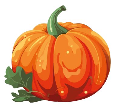 Olgun balkabağı tasarımı beyazın üzerine çizim