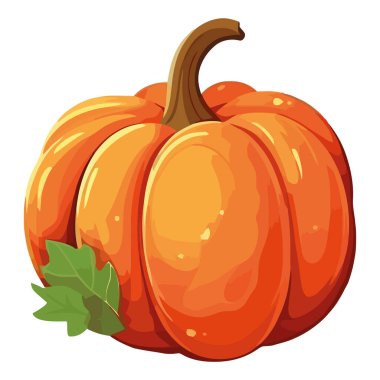 Olgun balkabağı çizimi beyaza göre