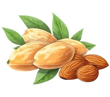 Beyaz yapraklı doğa tohumları tasarımı