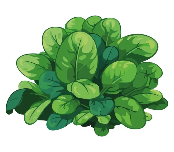 白の上に新鮮な緑の葉 — ストックベクタ