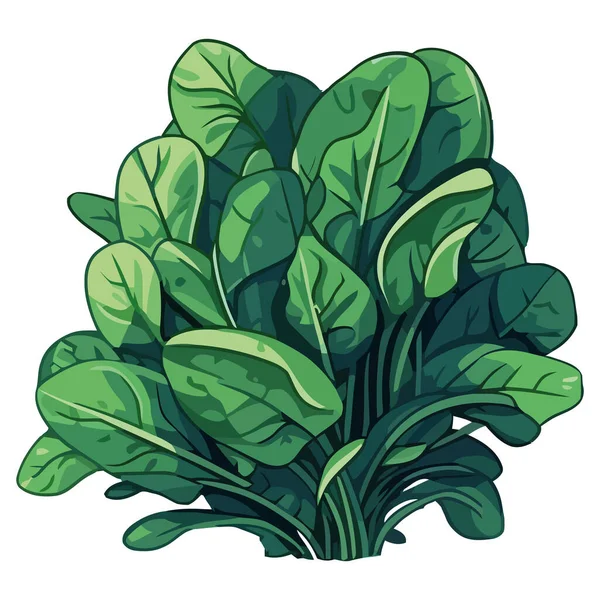 白の上に新鮮な緑のハーブ植物 — ストックベクタ