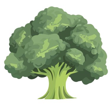 Ağaç bitkisi doğa simgesi izole