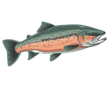 Sualtı balığı illüstrasyon vektörü beyaz üzerine