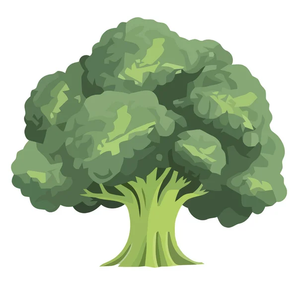 木の植物の自然アイコンは — ストックベクタ
