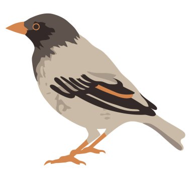 Beyaz tüylerle uçan sevimli çizgi film kuşu.