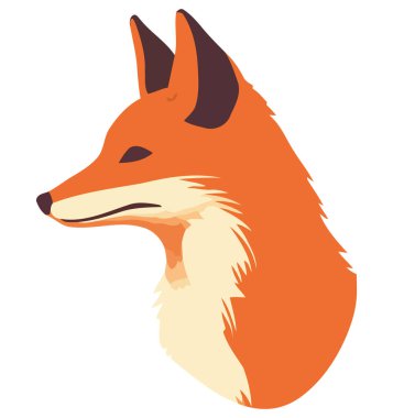 Beyaz üzerine tüylü tilki yavrusu