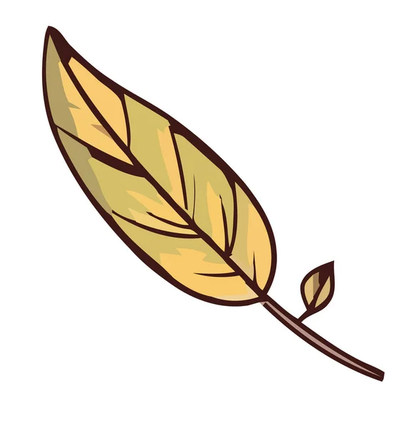 Осенний Лист Дерева Над Белым — стоковый вектор