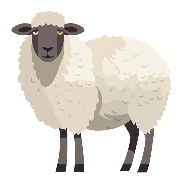 小羊在白色草地上吃草 — 图库矢量图片