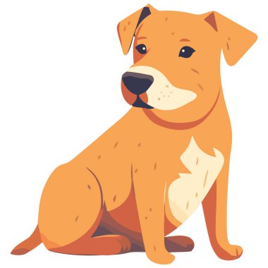 Şirin köpek yavrusu oturuyor, gülümsüyor ve beyazın üzerinden arkadaşına bakıyor.