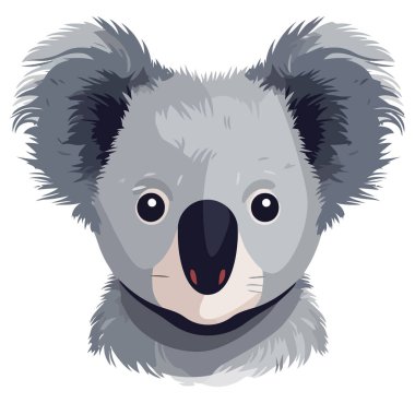 Beyaz üzerine izole edilmiş şirin koala çizimi