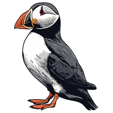 Beyaz üzerinde tropikal bir arazide uçan sevimli bir dodo resmi.