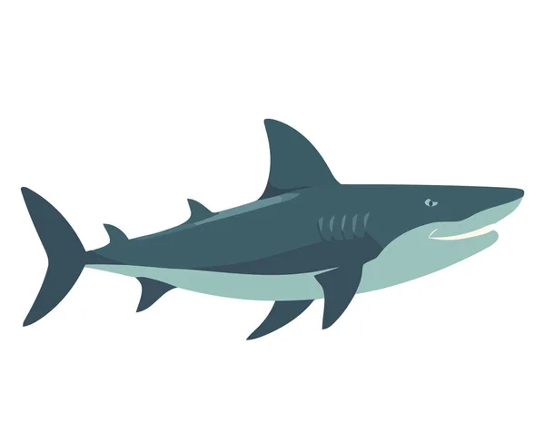 Pływający Rekin Ilustracja Nad Białym — Wektor stockowy