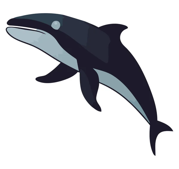 Стрибки Дельфінів Плавають Синій Водяній Природі Над Білим — стоковий вектор