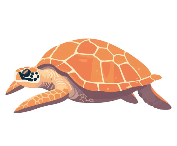 Kaplumbağa Yavaş Istikrarlı Bir Şekilde Bembeyaz Üzerinde Sürünür — Stok Vektör