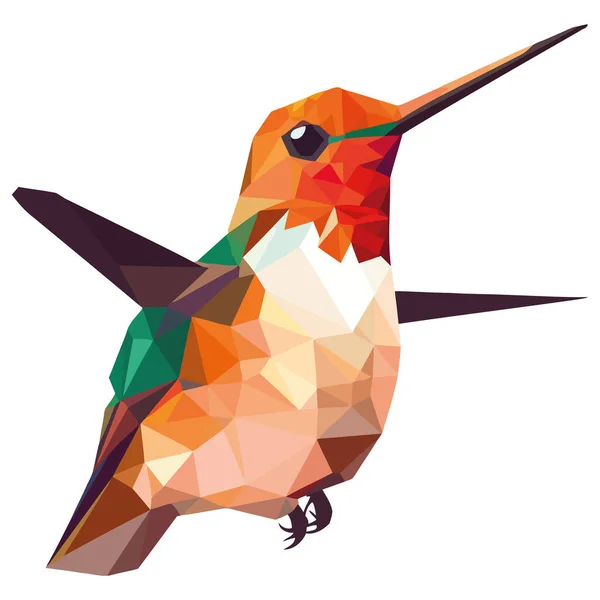 Kolibri Fliegt Mit Farbigen Federn Und Schnabel Über Weiß — Stockvektor