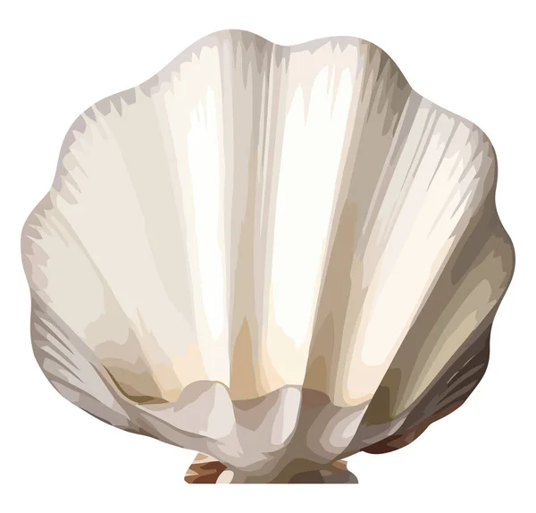 Seashell Mollusk Scallop Conch Decor White — Stock Vector