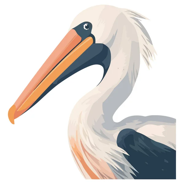 Pelikan Schnabel Wölbt Sich Auf Ast Über Weiß — Stockvektor