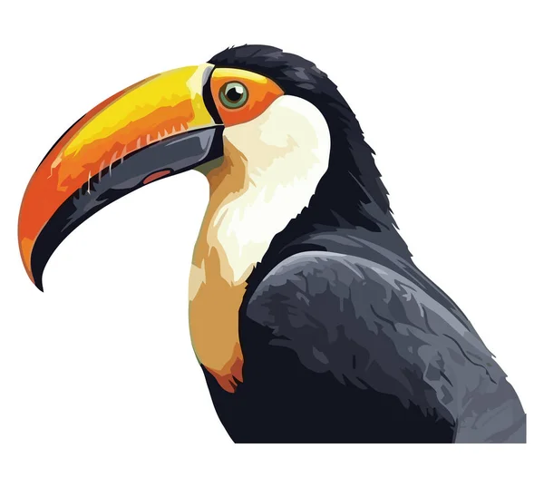 Mehrfarbiger Tukan Fliegt Tropischen Regenwald Über Weiß — Stockvektor