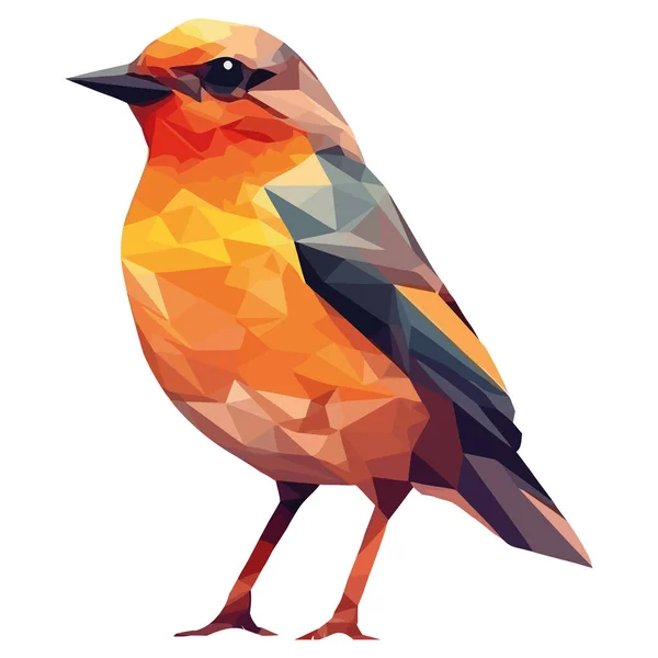 Oiseau Multicolore Avec Bec Jaune Plume Sur Blanc — Image vectorielle