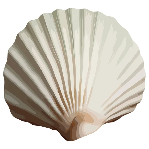 Ornate Seashell Symbol Tropical Vacations White — Stock Vector